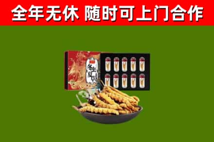 花莲回收冬虫夏草价格